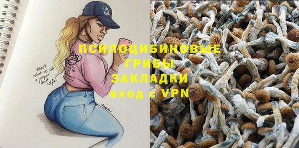 гашик Кукмор
