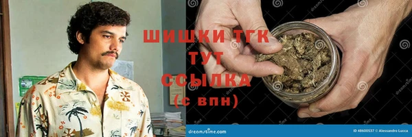 крисы Лагань