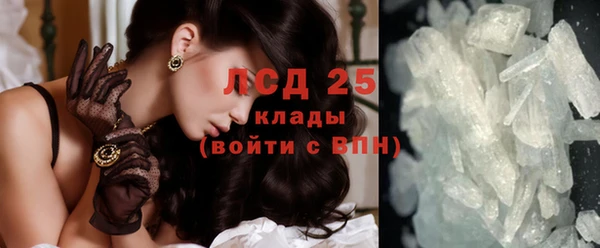 крисы Лагань