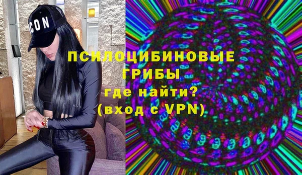 крисы Лагань