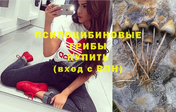 MDMA Ладушкин