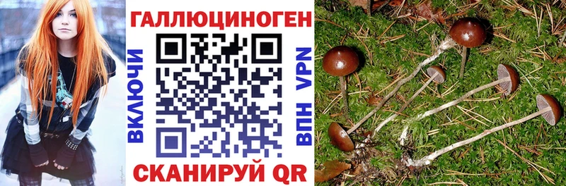 Псилоцибиновые грибы Psilocybine cubensis  цена наркотик  Магас 