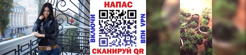 Каннабис марихуана  Магас 